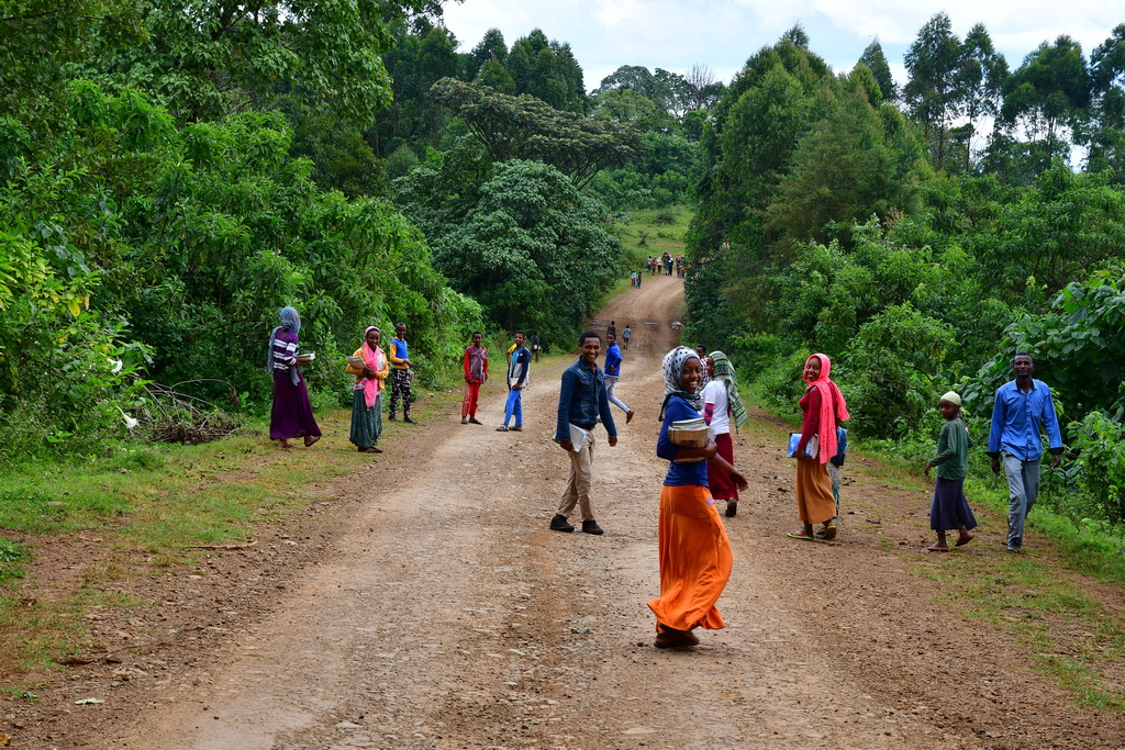 Mizan Teferi to Gambela